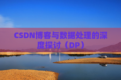 CSDN博客与数据处理的深度探讨（DP）